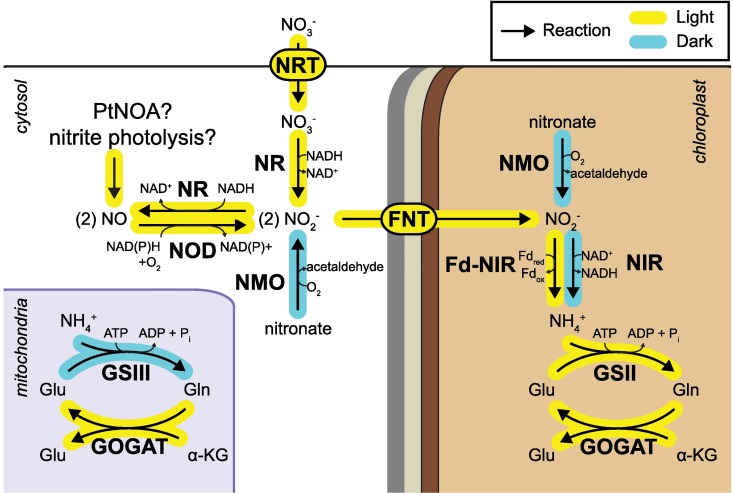 Fig 8