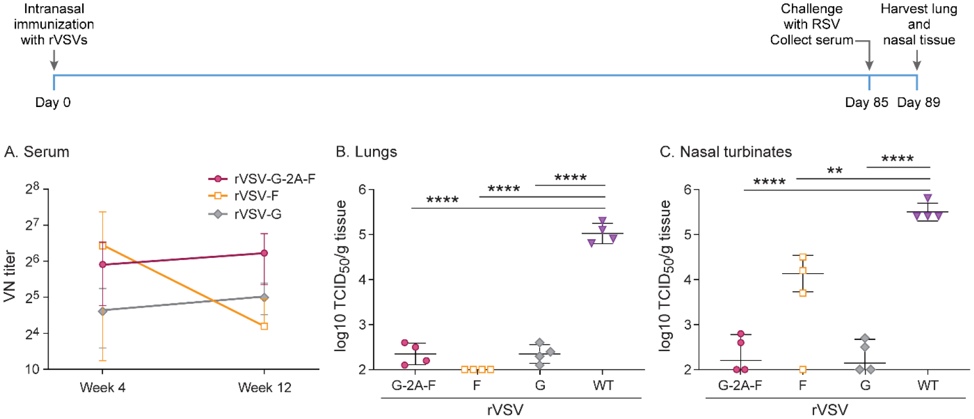 Figure 10.