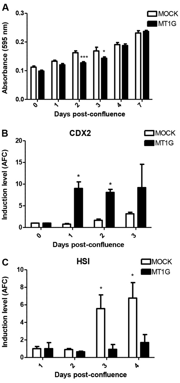 Figure 6.