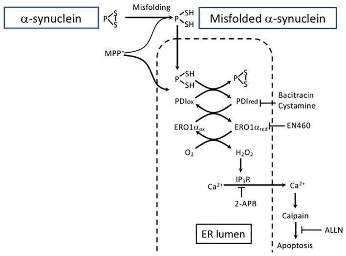 FIGURE 3