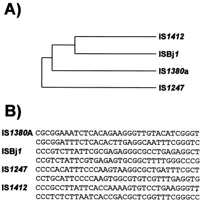 FIG. 21