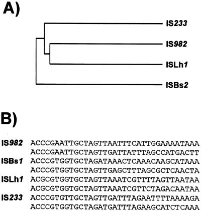 FIG. 20