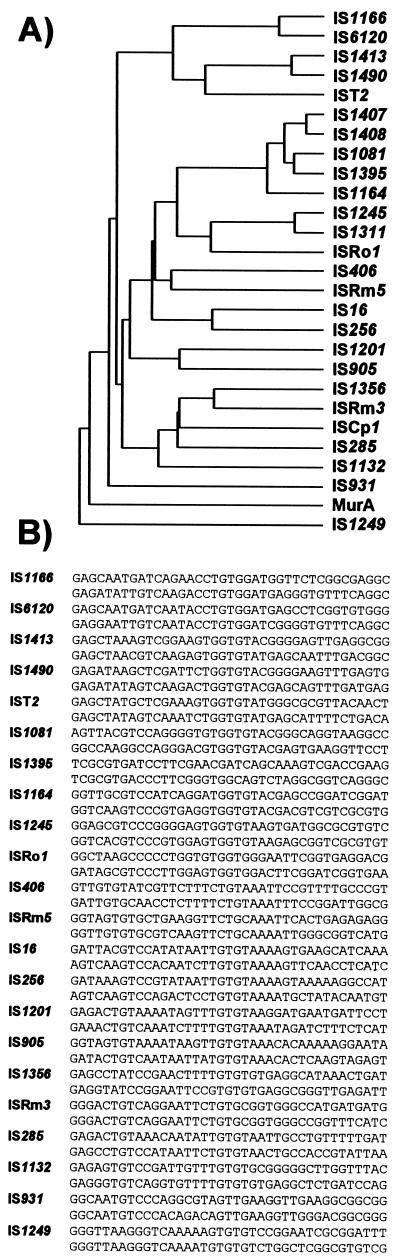 FIG. 18