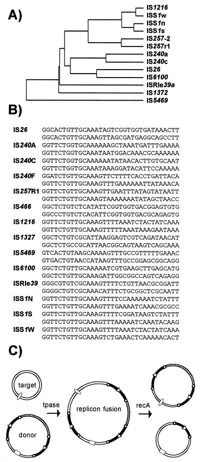 FIG. 11