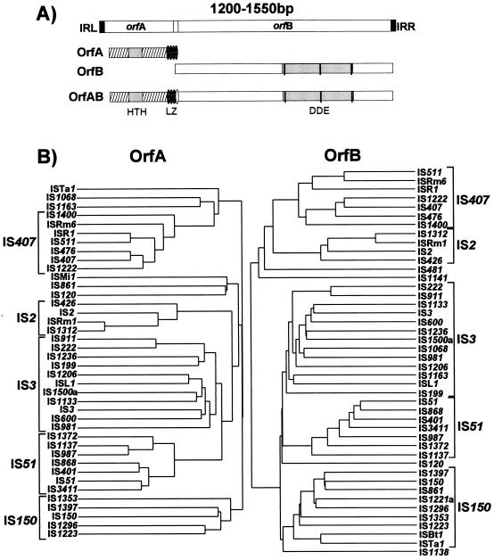 FIG. 7