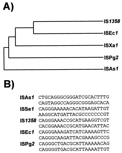 FIG. 22