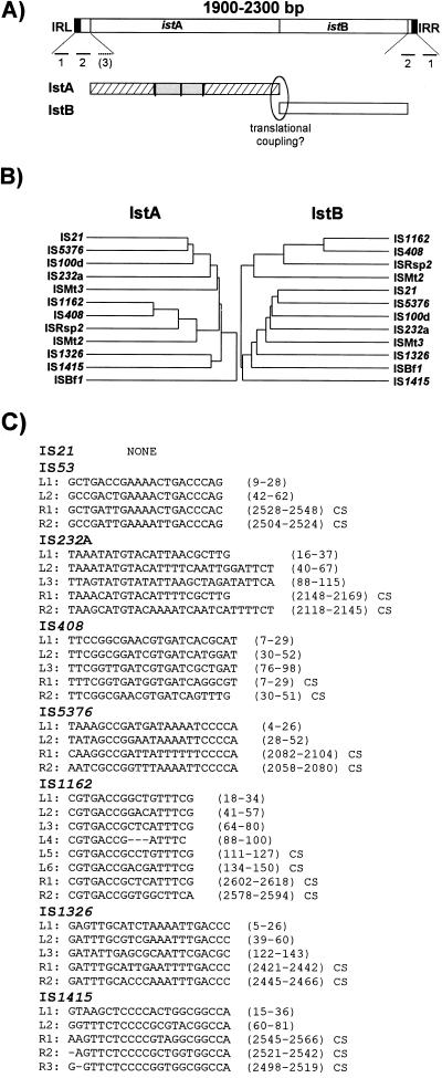 FIG. 12