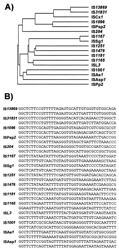 FIG. 23