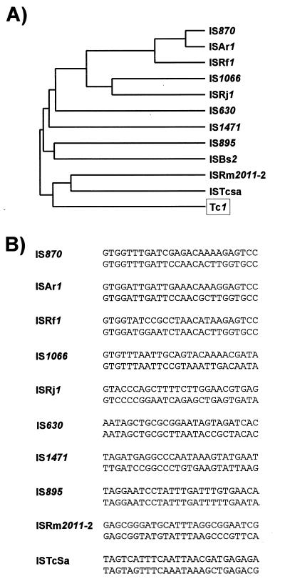 FIG. 19