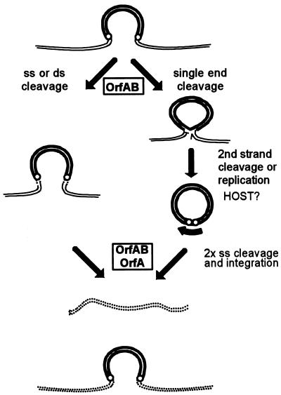 FIG. 8