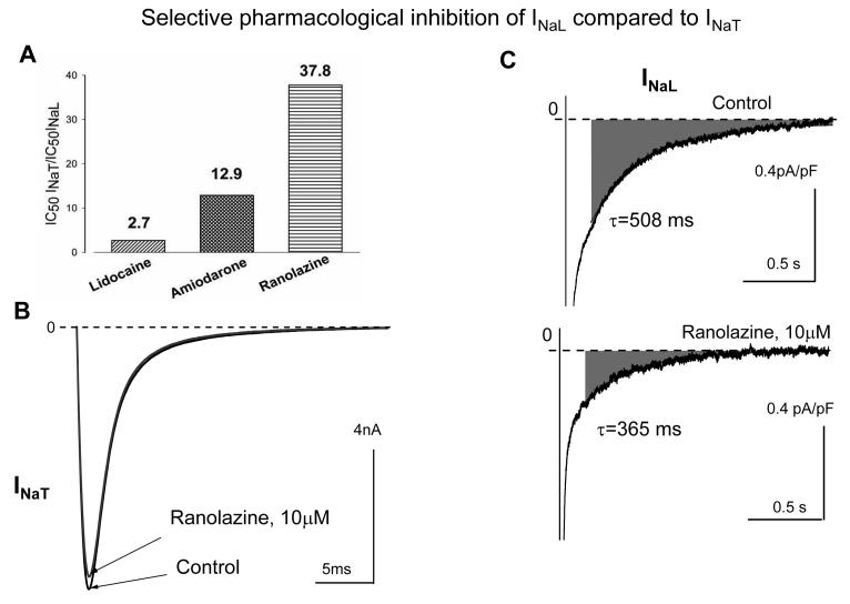 Figure 13