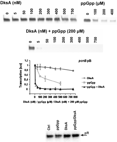 Fig. 4