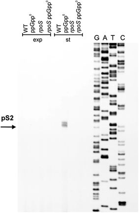 Fig. 10