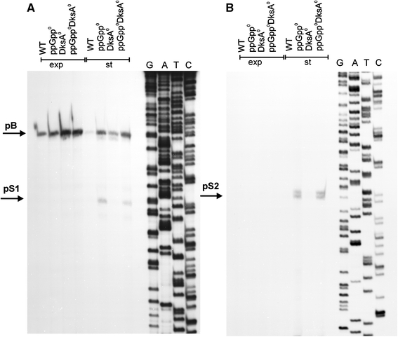 Fig. 11