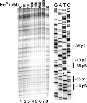 Fig. 6
