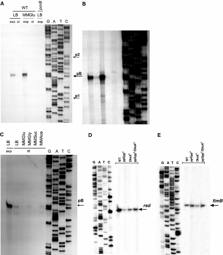 Fig. 2