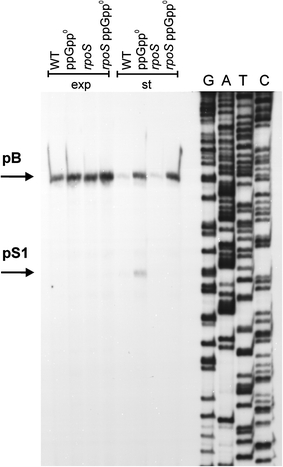 Fig. 9