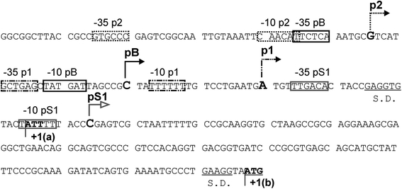 Fig. 1