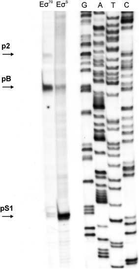 Fig. 7