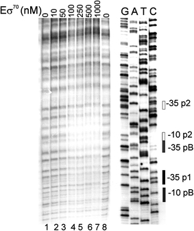 Fig. 6