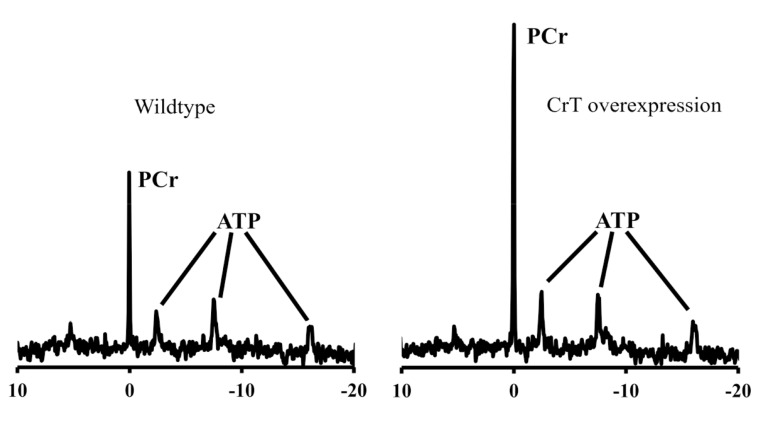 Fig. (3)