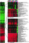 Fig 3.