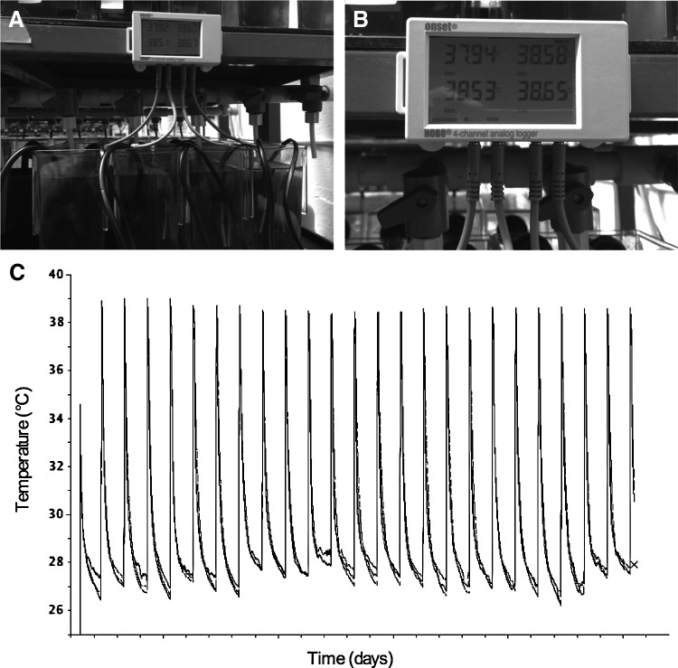 FIG. 2.