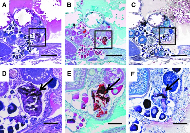 FIG. 7.