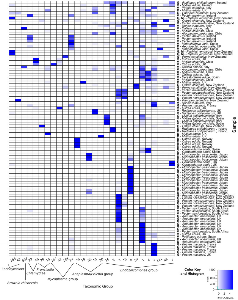 FIGURE 4