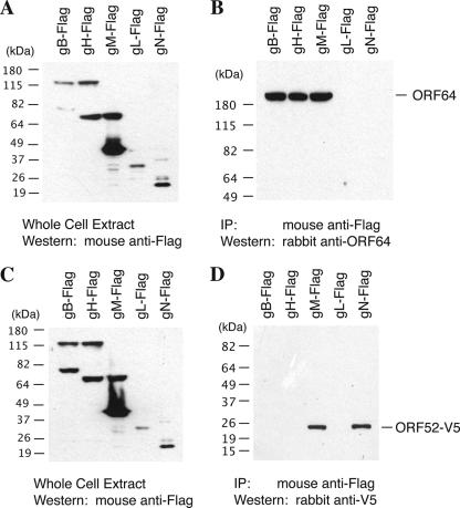 FIG. 3.