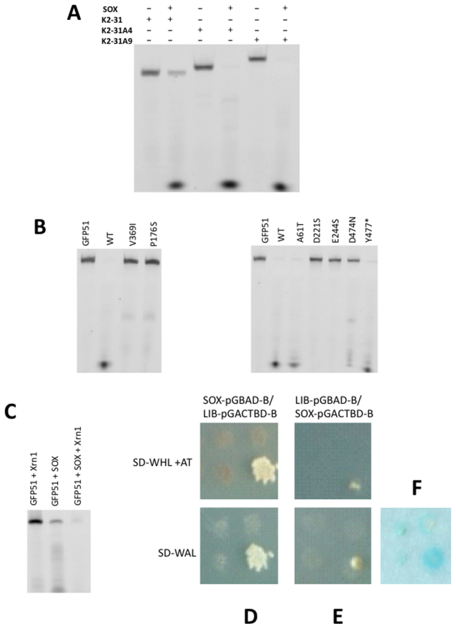 Figure 5.