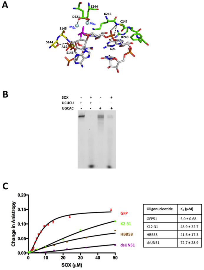 Figure 4.