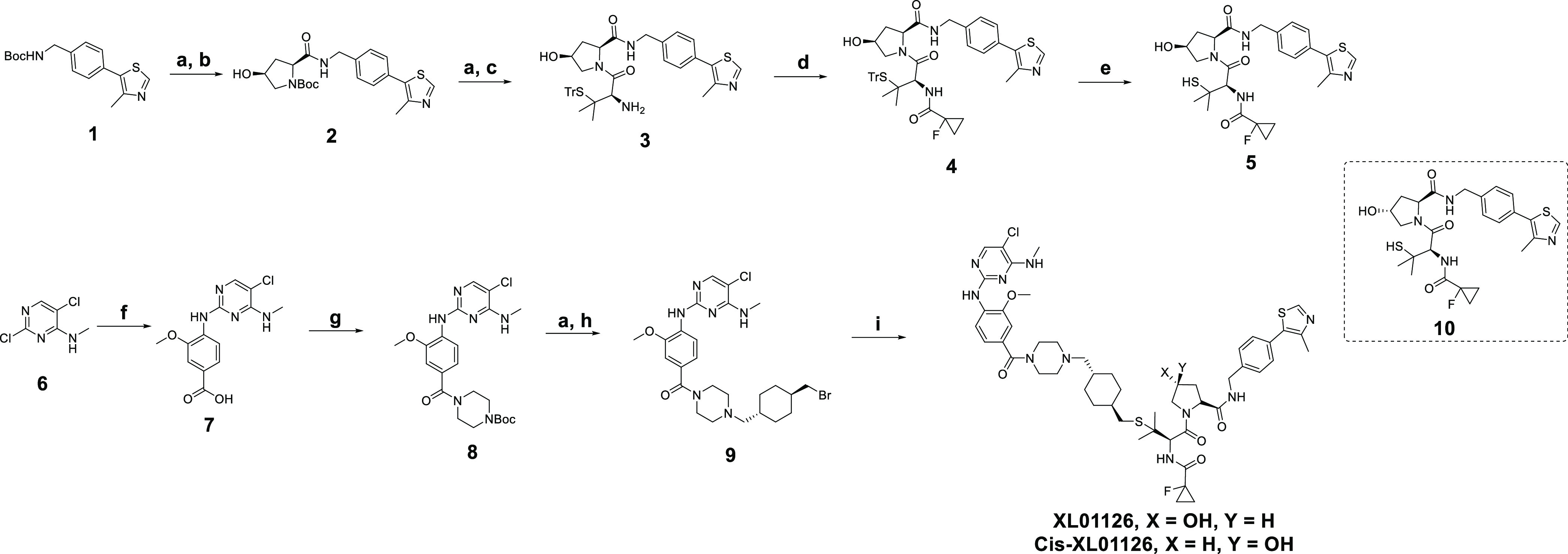 Scheme 1