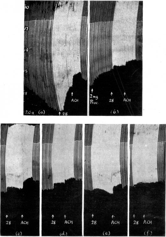 FIG. 17