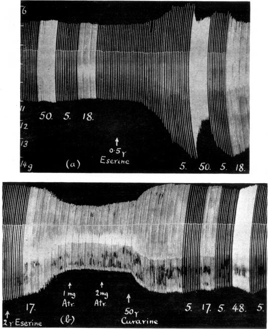 FIG. 12