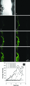 FIG. 4.