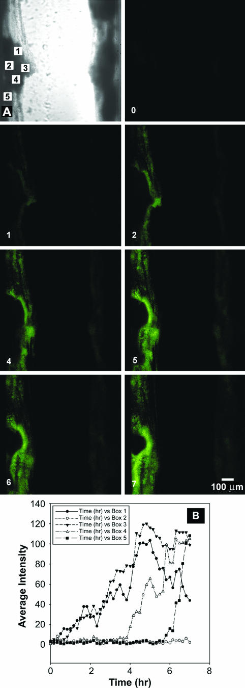 FIG. 4.