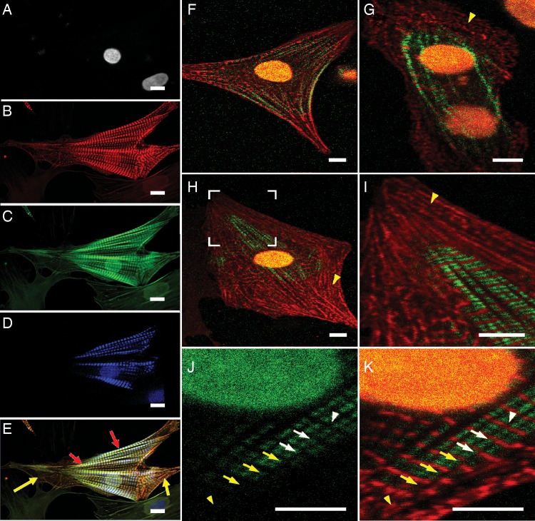 Figure 3