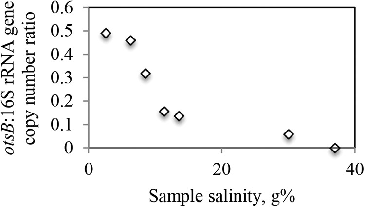 FIG 6