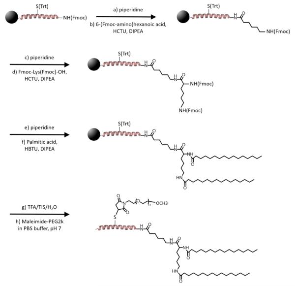 Scheme 1