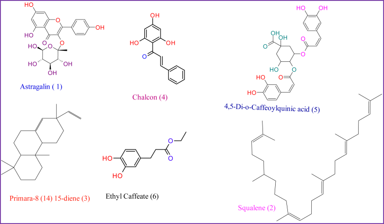 Figure 2