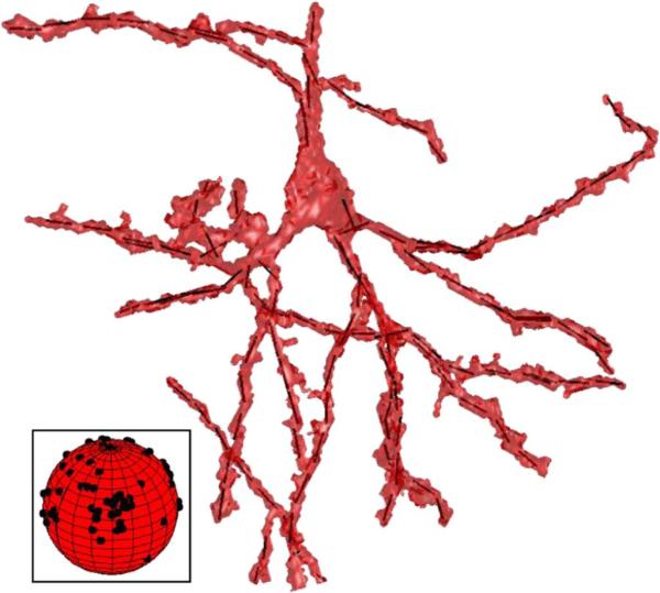 Fig. 8