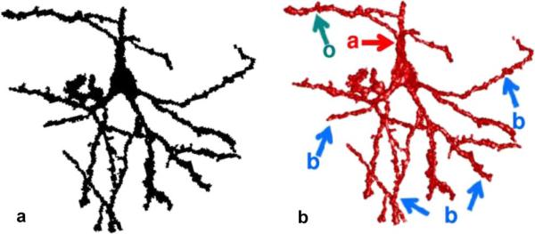 Fig. 6