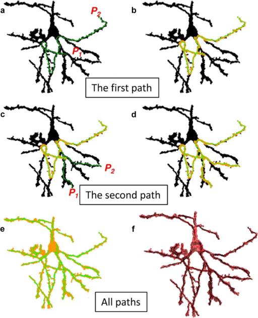 Fig. 7