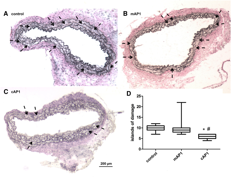 Figure 7