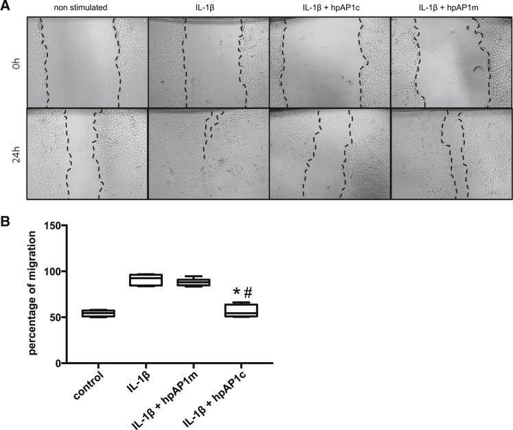 Figure 4