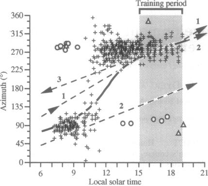 graphic file with name pnas01132-0379-a.jpg