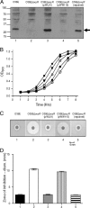 FIG. 3.