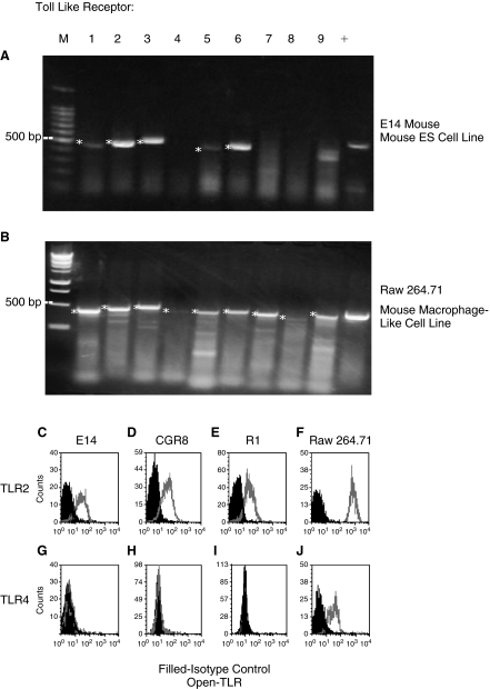 FIG. 1.