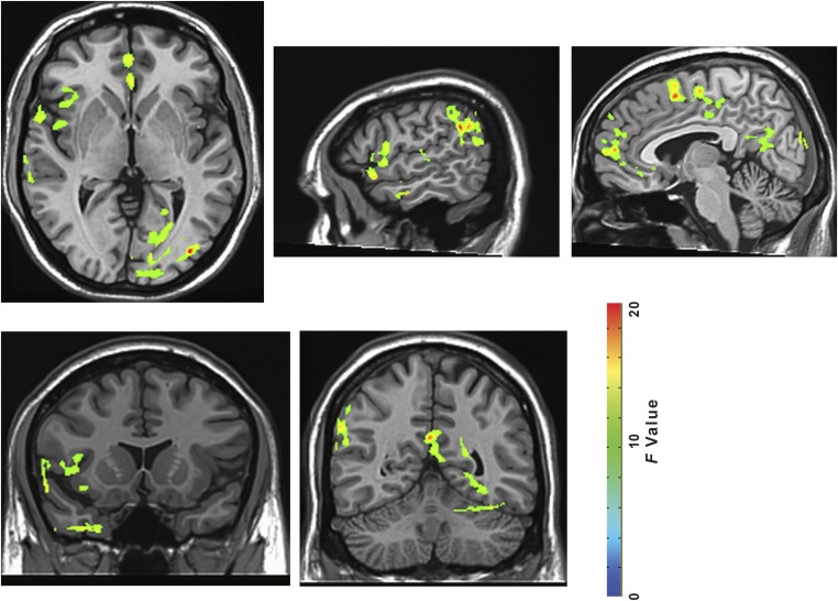 Fig. S3.